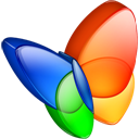 MSN exporer icon